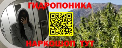 PSILOCYBIN Нарткала