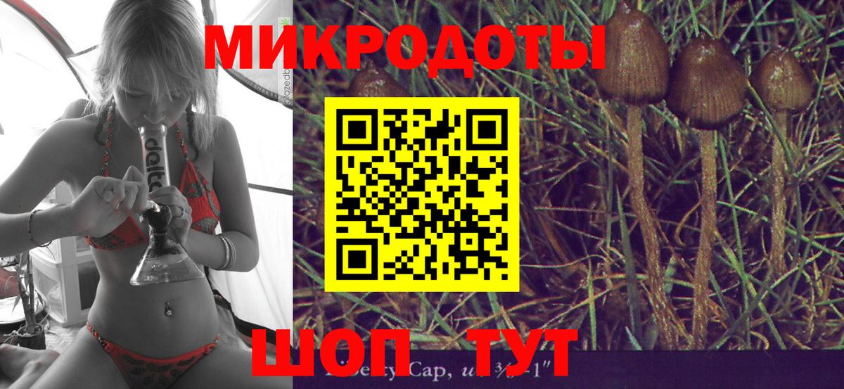 Псилоцибиновые грибы Psilocybine cubensis Альметьевск