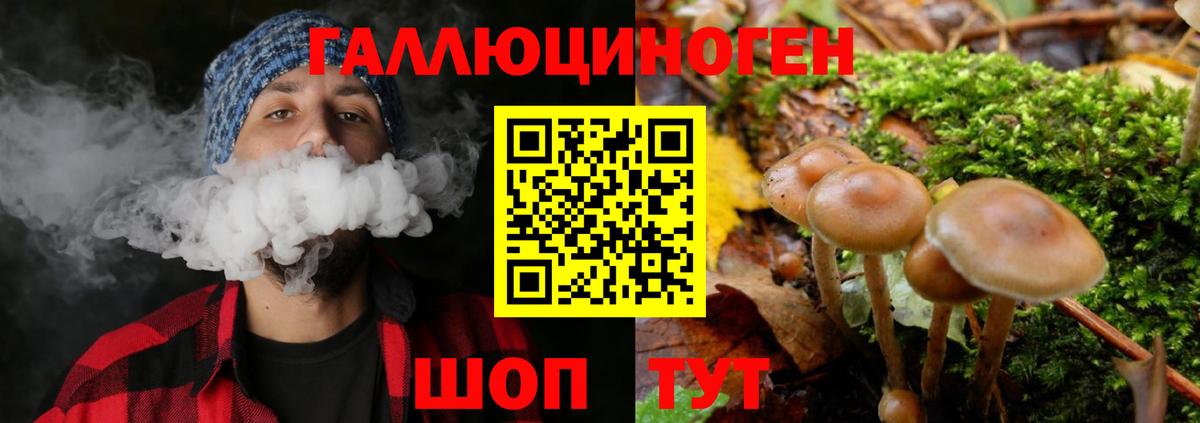 цены наркотик  Псилоцибиновые грибы MAGIC MUSHROOMS  Галлюциногенные грибы ЛСД  Вход с VPN  Альметьевск 